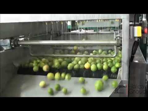 ლიმონის წვენის ექსტრაქტის დამზადების პროცესი • Lemon oil and juice extraction